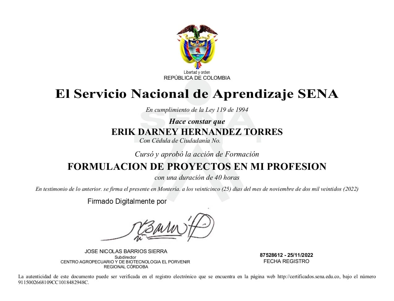 Formulacion de proyectos en mi profesión